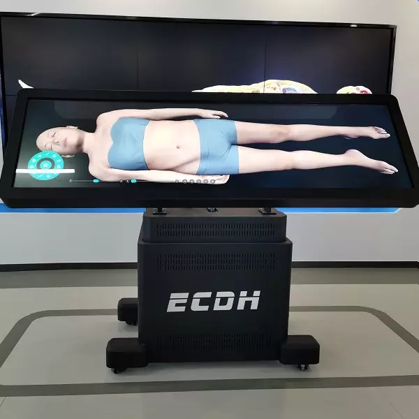 Virtual Autopsy Train Enhancing Medical Education with the DIGIHUMAN Virtual Autopsy Table ...