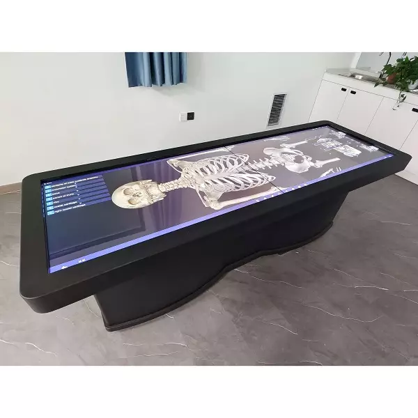 Exploring the Future of Medical Education: DIGIHUMAN’s 3D Anatomy Table ...