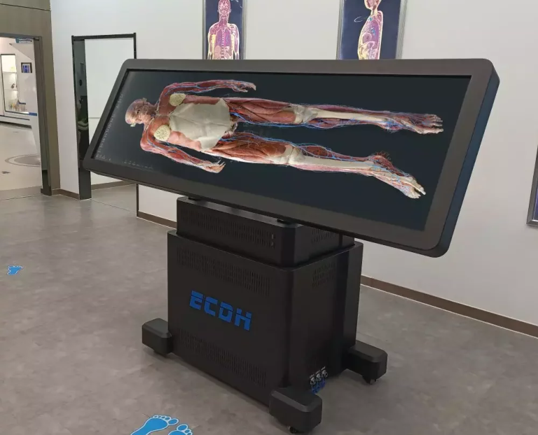 What’s the Best Virtual Anatomy Table for Medical Education? - Shandong ...
