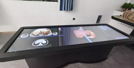 virtual dissection table